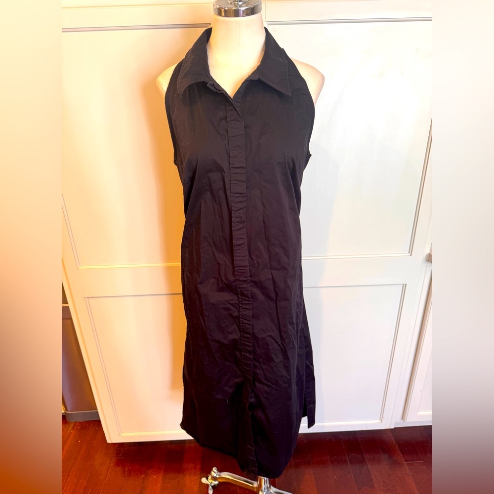 White House, black market black Sleeveless Button-Down Dress